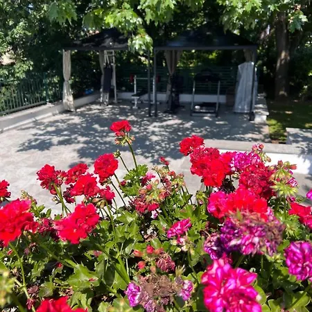 فندق مبيت وإفطار Albina 4*