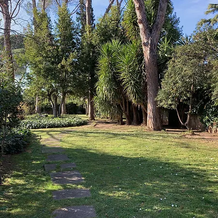 فندق مبيت وإفطار Albina 4*