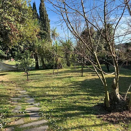 Albina Couette-café Rome