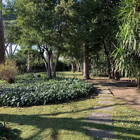 Albina Couette-café 4*