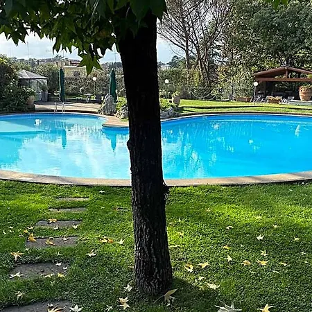 Albina לינה וארוחת בוקר