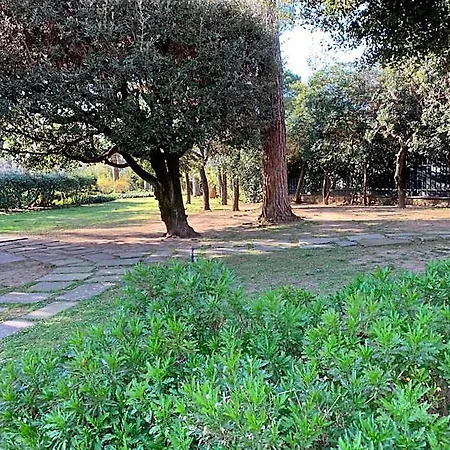Albina לינה וארוחת בוקר