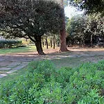 فندق مبيت وإفطار Albina روما